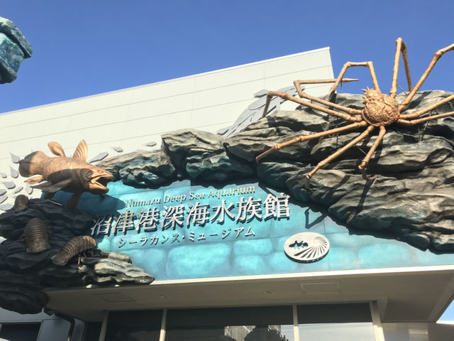 【静岡・沼津】深海の謎に迫る!「沼津港深海水族館」🐠🪸 【静岡・沼津】深海の謎に迫る!「沼津港深海水族館」🐠🪸