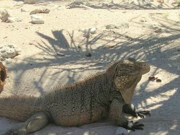 Ancon Beach Ancon Beach