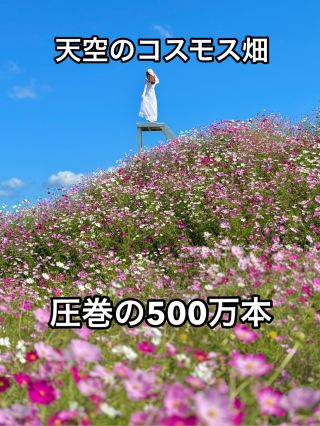 히로시마 ❤︎ 천공의 꽃밭이 멋진 💐 기간 한정의 꽃의 역 🩷