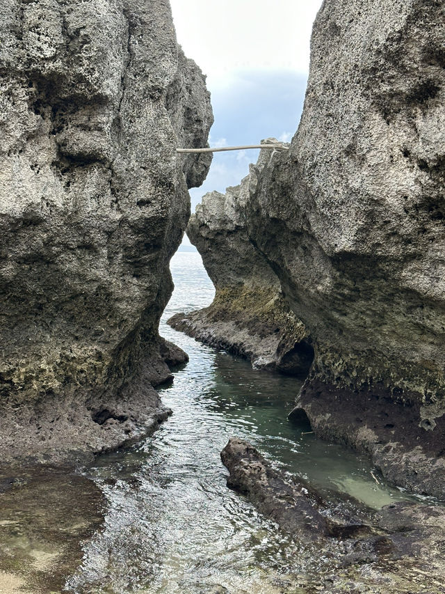 🐚 小琉球陽光海島兩日遊|潛水・獨木舟・電動車環島 🌊☀️ 🐚 小琉球陽光海島兩日遊|潛水・獨木舟・電動車環島 🌊☀️