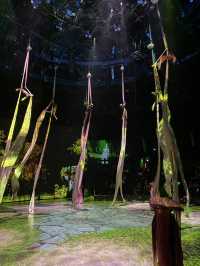 🤹🏻♂️🤸🏻♂️ Shanghai World Circus 🌍 MUST Visit