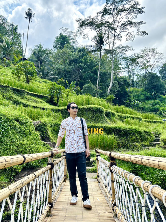 Terrace Tranquil🌾 Terrace Tranquil🌾