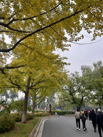 Beijing Courtyards✨  