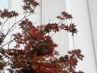 Where tradition meets tomorrow. 🌃 #Shanghai