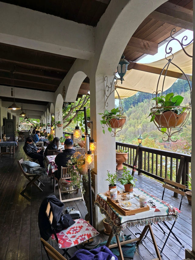 🤎가평 릴리 숲뷰가 아름다운 가을 추천🧡