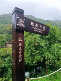 草山觀瀑吊橋：身臨瀑布的療癒秘境