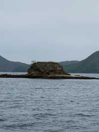 📸打卡香港秘境！荔枝窩客家村奇樹+海景一日遊