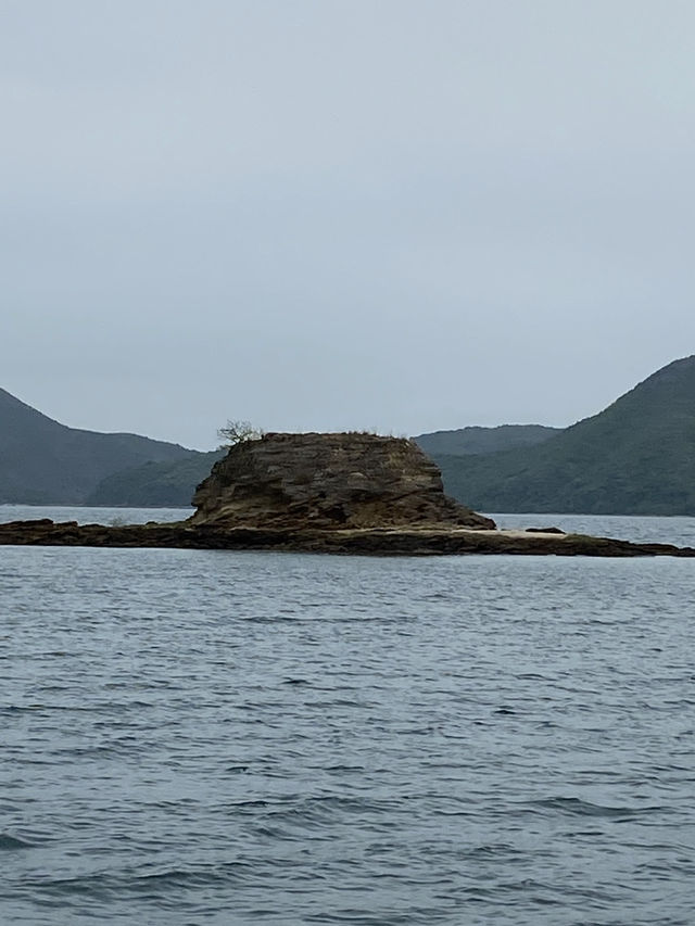 📸打卡香港秘境！荔枝窩客家村奇樹+海景一日遊