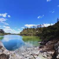 🌋紐西蘭地熱探秘｜蒂普亞 Te Puia 必打卡壯觀間歇泉！