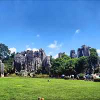 Walking Through a Stone Wonderland