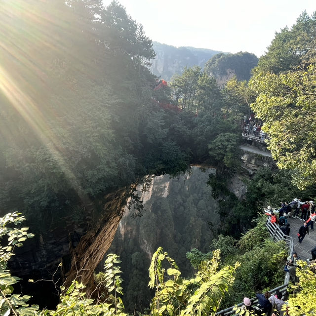  Zhangjiajie East Gate — A One-Day Journey Through Peaks, Clouds & Surprises