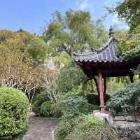 A Relaxing City Oasis — Five Dragon Pool Park