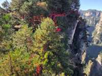 คู่มือเที่ยวหูหนาน 7 วัน ด้วยตนเอง