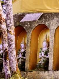 พุทธอุทยานดอยจิกจ้องฆ้องคำ