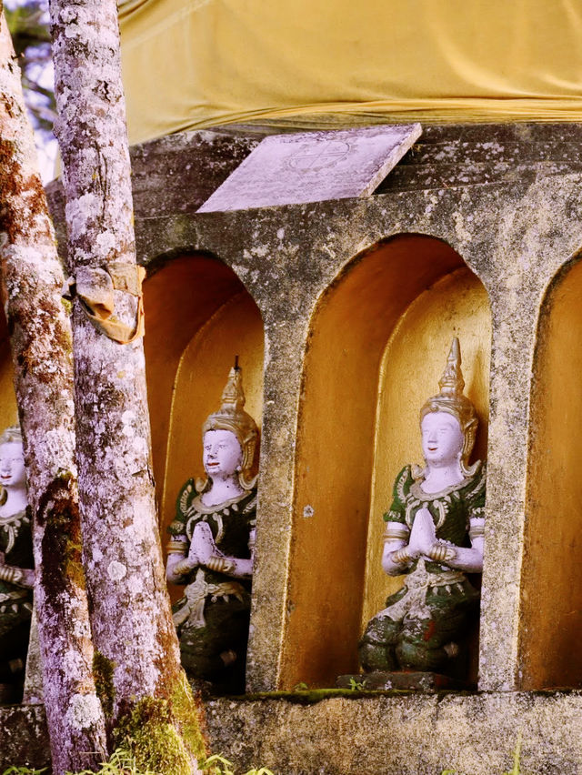 พุทธอุทยานดอยจิกจ้องฆ้องคำ พุทธอุทยานดอยจิกจ้องฆ้องคำ