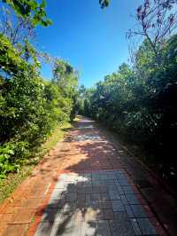 Capture Holiday Memories at Eluanbi Lighthouse Before Gift Shopping