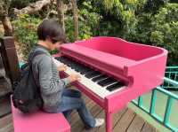 《雲河星空景觀餐廳|夜景、美拍、盪鞦韆一次滿足的浪漫景點!