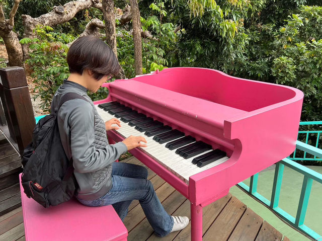 《雲河星空景觀餐廳|夜景、美拍、盪鞦韆一次滿足的浪漫景點! 《雲河星空景觀餐廳|夜景、美拍、盪鞦韆一次滿足的浪漫景點!