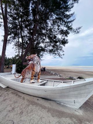 Roxy’s Beach Escape: Fun and Relaxation by the Sea