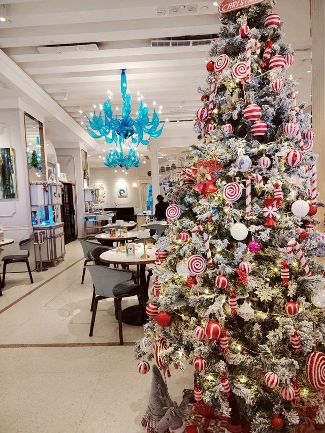 Venedia Grancaffe🎄 Venedia Grancaffe🎄