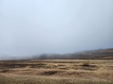 阿蘇火山博物館+阿蘇草千里咖啡廳(牛奶冰淇淋 好好吃) 阿蘇火山博物館+阿蘇草千里咖啡廳(牛奶冰淇淋 好好吃)
