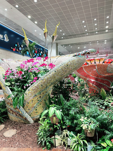 シンガポール・チャンギ空港のエンチャンテッドガーデン – 咲き誇る蘭