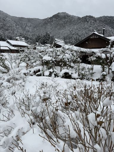 Snowy Kyoto Magic❄️ Kayabuki no sato | Trip.com 南丹市