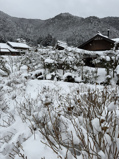Snowy Kyoto Magic❄️ Kayabuki no sato | Trip.com 南丹市