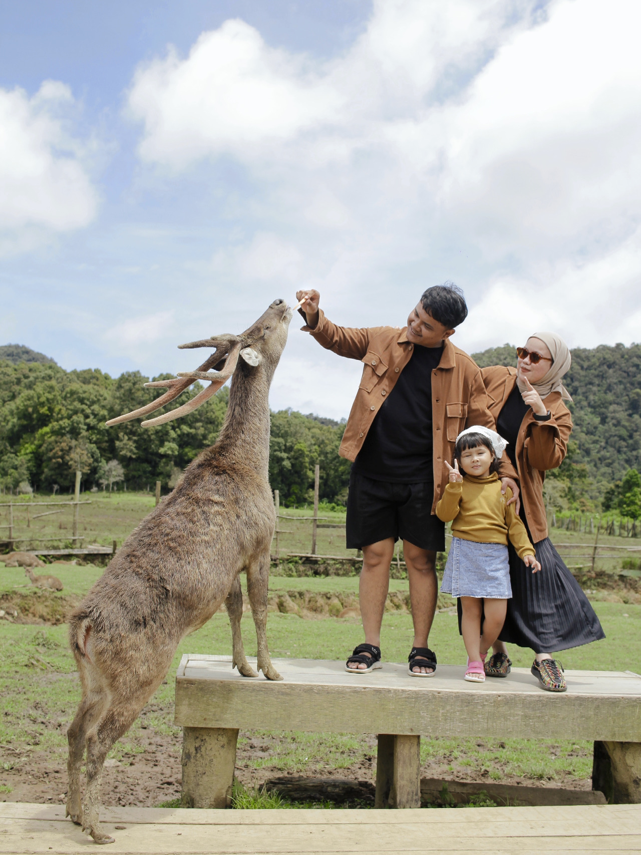 Taking Photos with Deer in Bandung.