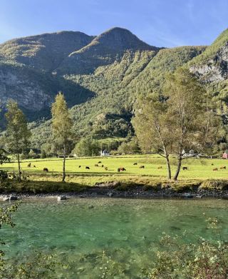 為什麼 Flåm 奪走了我的心  | 我在挪威最喜愛的峽灣體驗