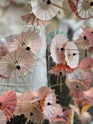 Takeo Shrine – Where Ancient Magic Meets Insta-Worthy Vibes 🌳✨