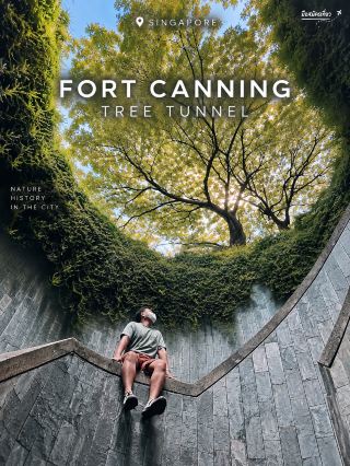 Fort Canning Tree Tunnel: A popular, free photo spot in the heart of Singapore