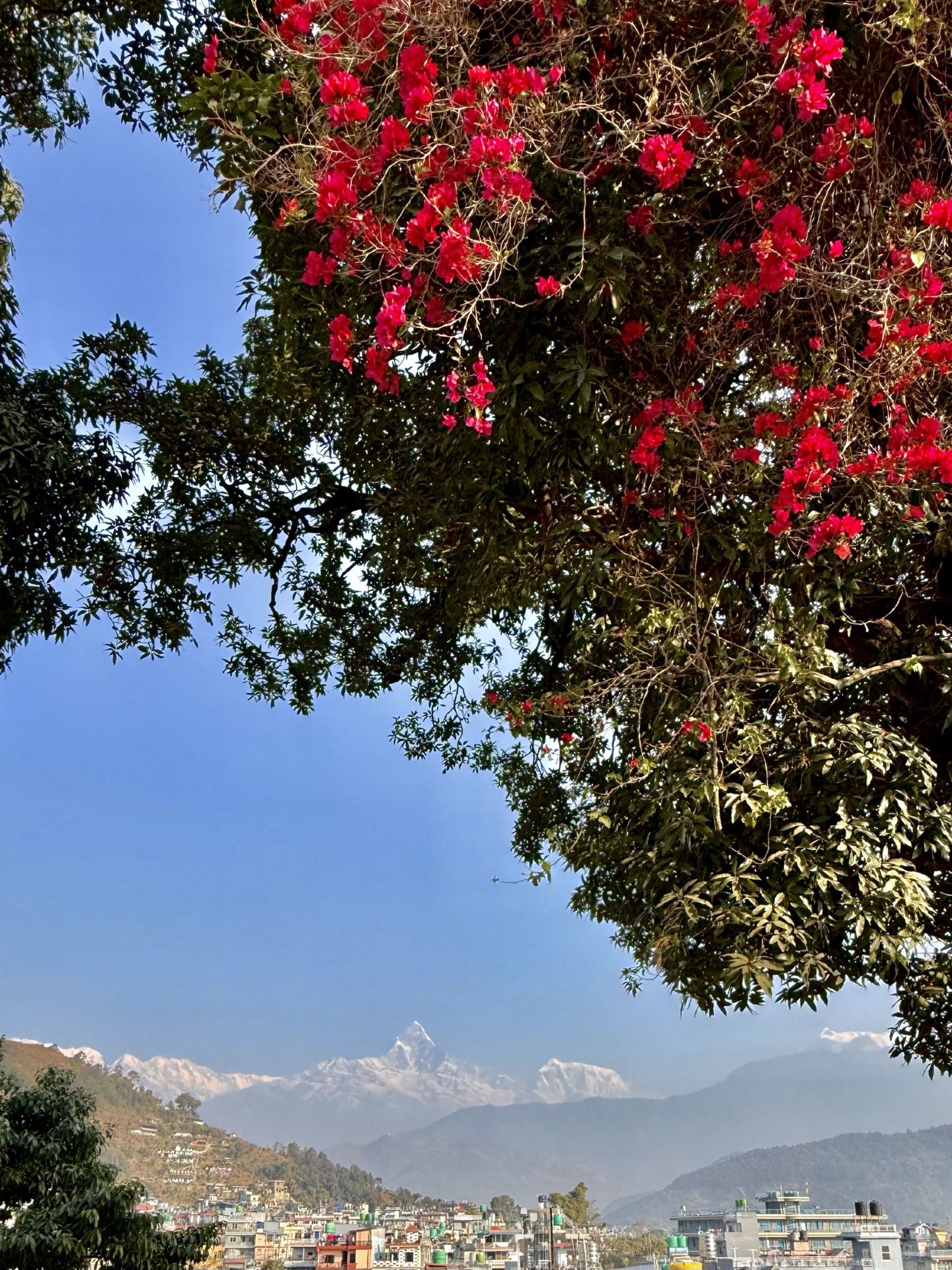 Pohkara Travel Wrap: 3 Days of Himalayan Wonder 🌄