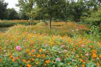 🌸 Discovering Huakai Ecological Park