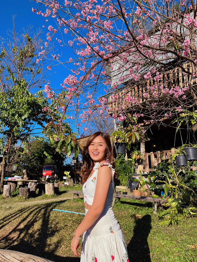 📍BA RUNG 𝐇𝐨𝐦𝐞𝐬𝐭𝐚𝐲 @𝐂𝐡𝐢𝐚𝐧𝐠 𝐦𝐚𝐢