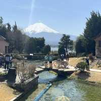 Epic views of Mt Fuji! Lake Kawaguchiko - A day trip from Tokyo. 