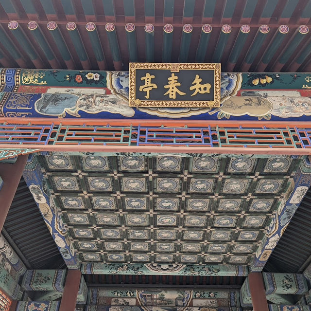 The most beautiful palace's I've ever seen. Stunning and breathtaking