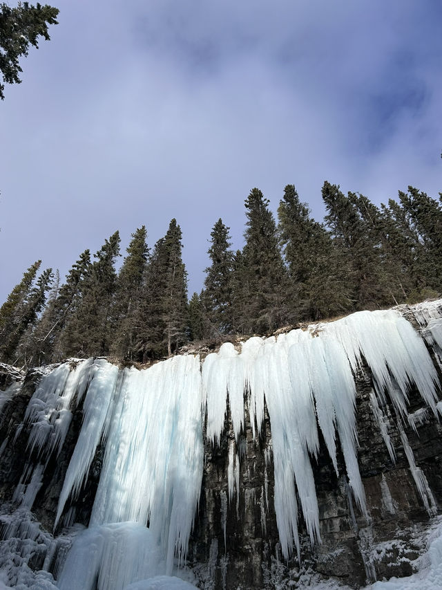 🇨🇦バンフの人気トレイル🏞️【ジョンストンキャニオン】で滝と渓谷を満喫