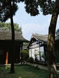 Day Trip to Chengdu