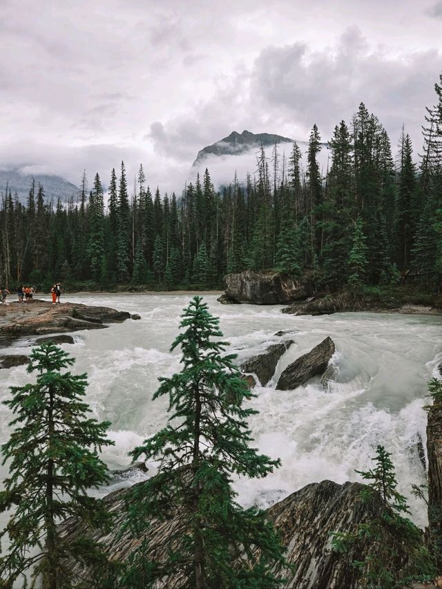 🌊 Takkakaw Falls + Natural Bridge – Yoho National Park Adventure! 🌊 Takkakaw Falls + Natural Bridge – Yoho National Park Adventure!