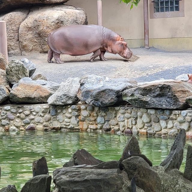 Philadelphia Zoo 🐪🇺🇸