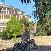 🇵🇱 Best family attraction: Wroclaw zoo 🦒