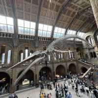 Free museum and definitely go tho packed