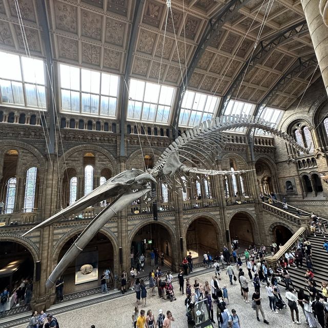 Free museum and definitely go tho packed