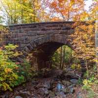 Hidden Gem in Coastal Maine
