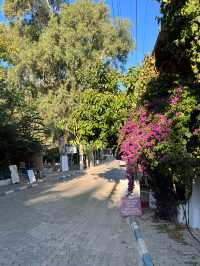 Turkey: the longest beach Patara