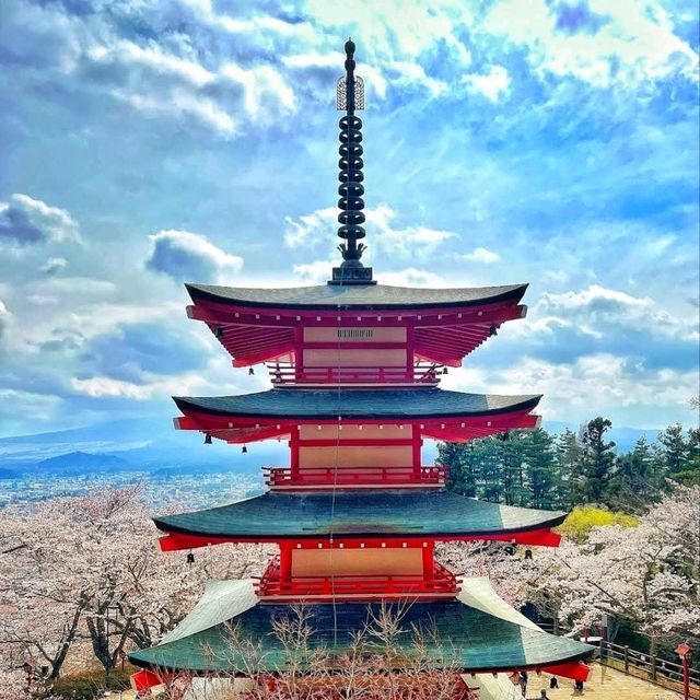 《新倉富士淺間神社》🌸絕美的櫻花，配著壯麗的富士山🗻
