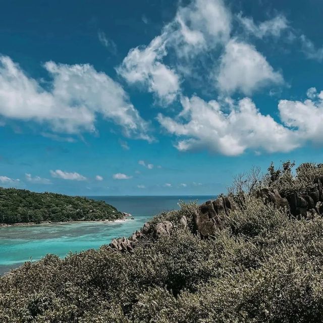 안스 조제트 🏖️