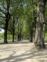 Learn While You Play at Cinquantenaire Park 