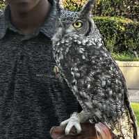 Montecasino: A Perfect Family Day Out!